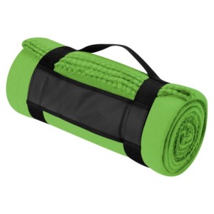 Koc z polaru ?Nashville? 